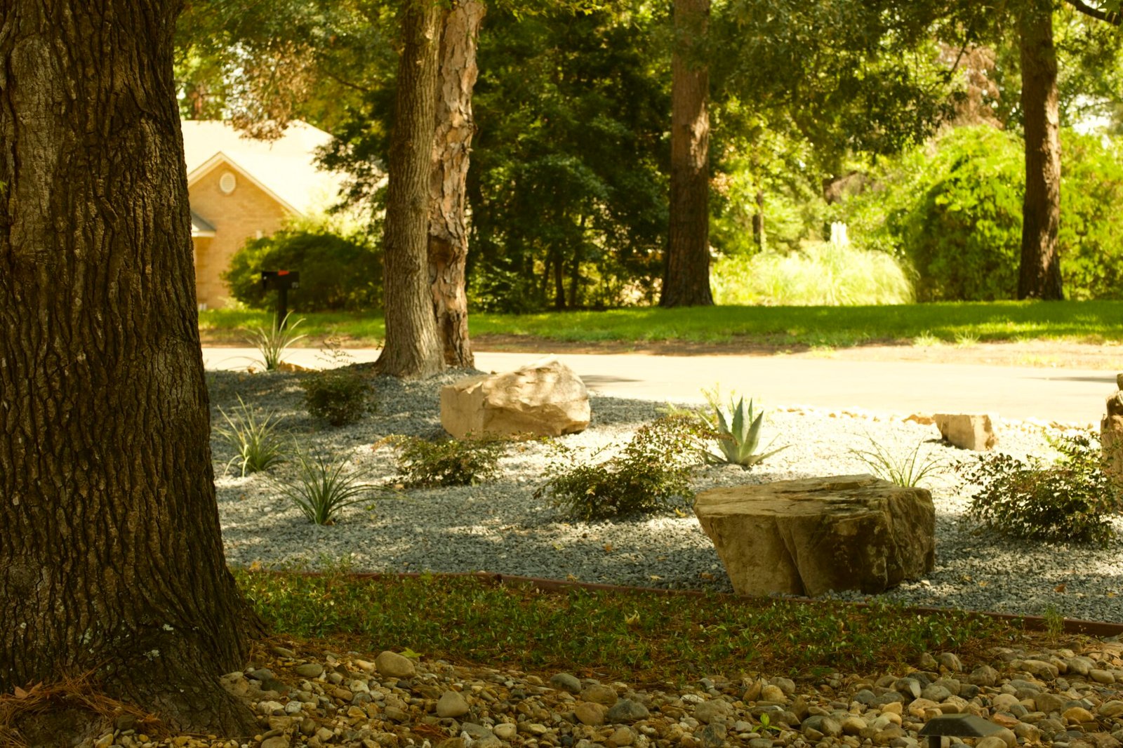 Custom landscape design with boulders and desert landscape in Fort Worth, Texas